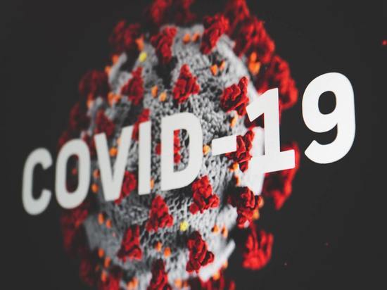 Сократилось число заболеваний COVID-19 в районах Марий Эл