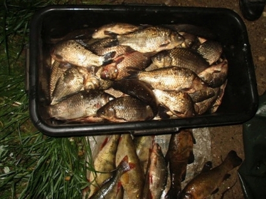 Смолянин может «поймать» два года за ловлю рыбы сетями