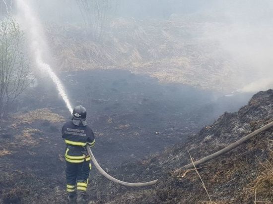 В Туломе объявлен режим ЧС из-за пожаров