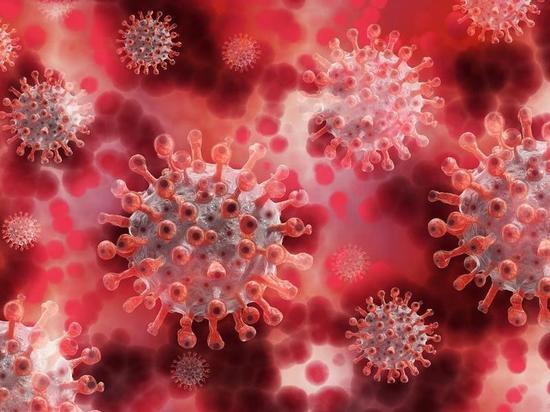 В Чувашии коронавирус выявили еще у 66 человек
