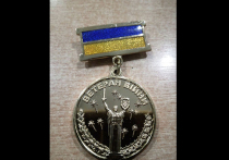На Украине за военную доблесть предложили награждать медалями из дешевых материалов и вторсырья