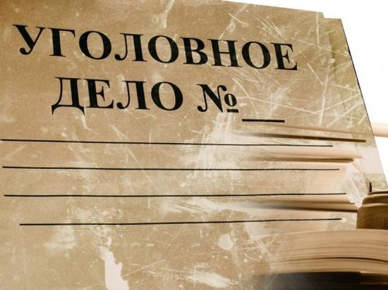 Владислава Миронова подозревают в коррупции при предоставлении жилья сиротам