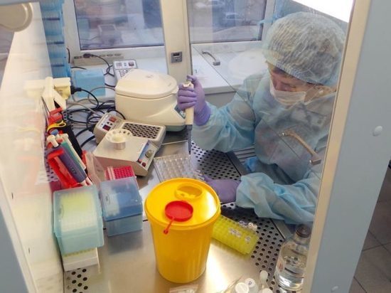 С начала пандемии коронавируса в Марий Эл провели 60 тысяч тестов