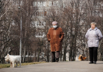 Ряд петербургских депутатов подготовили сразу два законопроекта: об индексации пенсий работающим пенсионерам и о возврате прежнего пенсионного возраста: женщинам с 55 лет, мужчинам – с 60