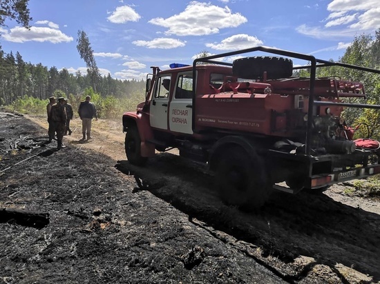 Четвертое лесное возгорание зафиксировано в Ивановской области с начала пожароопасного сезона