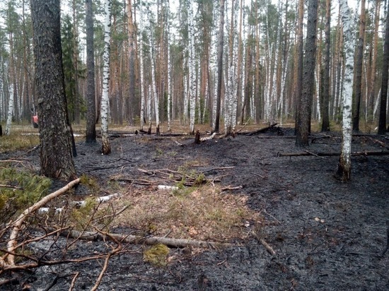 В Марий Эл произошло 10 лесных пожаров