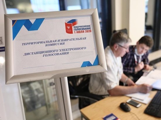 Опубликована явка на онлайн-голосование по поправкам к Конституции