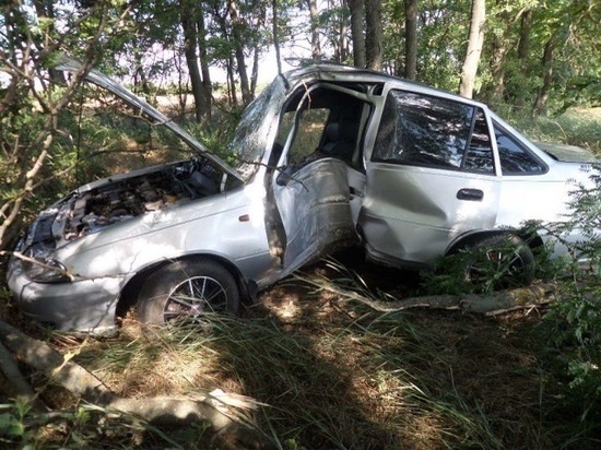 В Краснодарском крае 22-летний парень врезался на машине в дерево