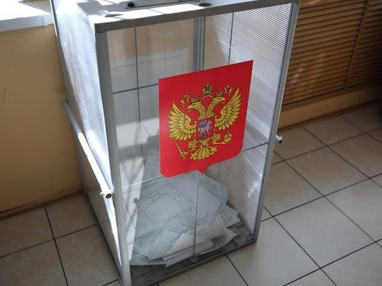 Как в Челябинске организовано голосование по поправкам в Конституцию РФ