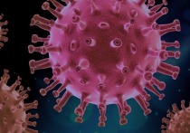 Профессор Неван Кроган из Калифорнийского университета США сообщил, что его научная группа, исследовавшая вирус SARS-CoV-2, который вызывает заболевание COVID-19, обнаружила у него странные отростки