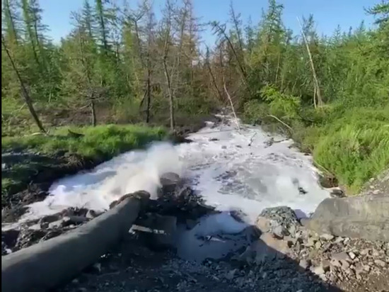 Отравленную воду из рек под Норильском откачивали прямо в леса
