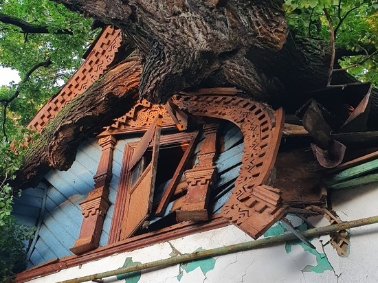 В центре Рязани убрали вяз, упавший на деревянные дома