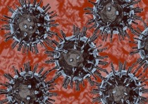 Вирус SARS-CoV-2 заставляет человеческие клетки отращивать щупальца с вирусным «ядом»  и ими заражать здоровые