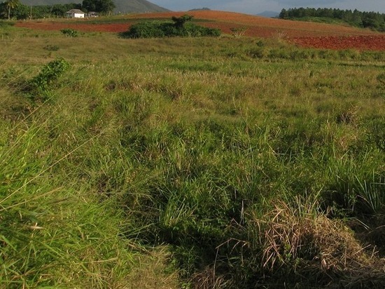 В Ковровском районе владелец двух земельных участков сельхозназначения не оплатил штраф