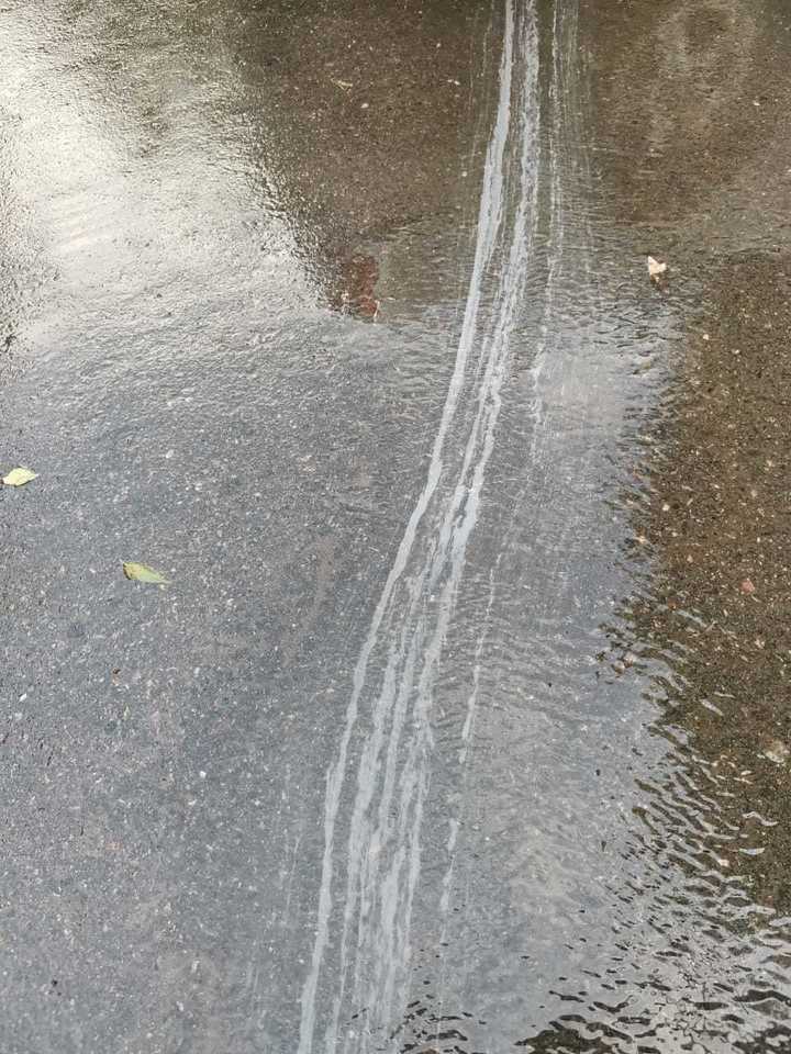 Текут ручьи после дождя. Из девочек течет белая жижа?. Ручей из пены на Королевке. Почему во время дождя образуется пена.