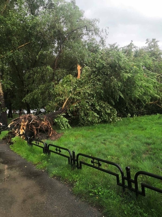 Абакан больше всех пострадал от сильного шторма в Хакасии