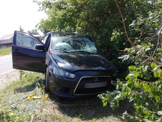 В Рязанской области в результате ДТП пострадали два человека