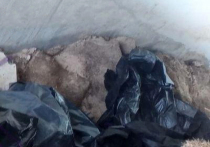 В одном из черных мешков, которые нашли в яме за моргом при больнице в Коммунарке, перевозили тело 54-летнего Андрея Витальевича (данные изменены)