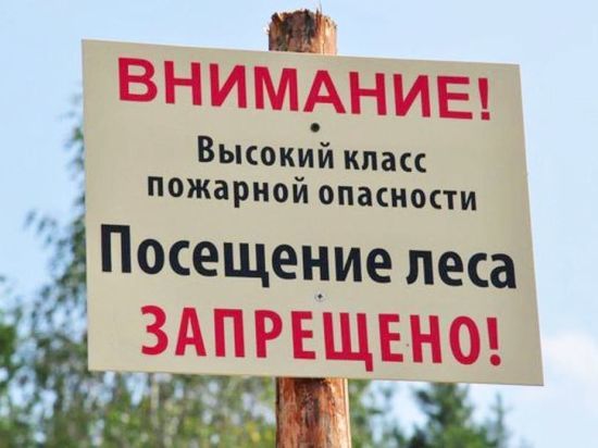 Губернатор Костромской области Сергей Ситников может принять решение о закрытии лесов в пожароопасный период