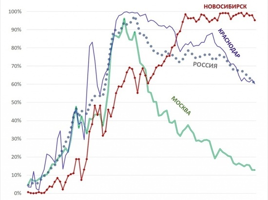 Программист доказал уникальность коронавирусного плато в Новосибирске