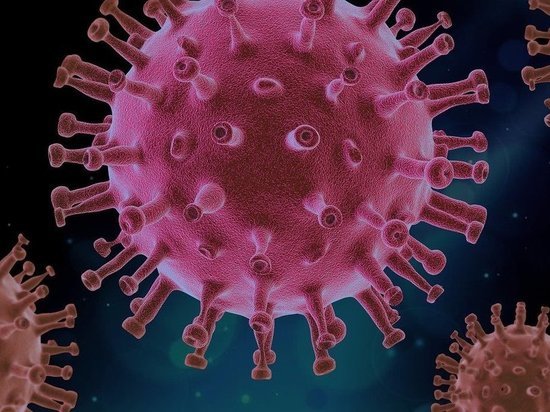 В Китае нашли новый штамм свиного гриппа, способный спровоцировать пандемию