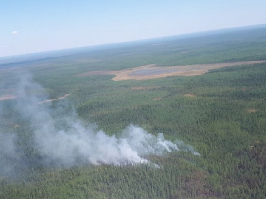 На Ямале локализовали три лесных пожара