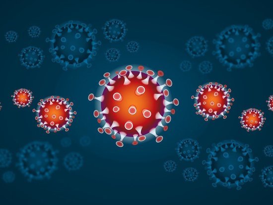 Коронавирус в Германии: как долго сохраняется иммунитет у переболевших на самом деле