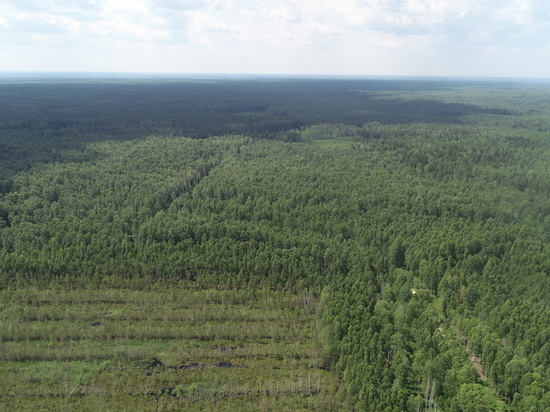 Сотрудники ГУ МЧС по Владимирской области ежедневно патрулируют леса региона
