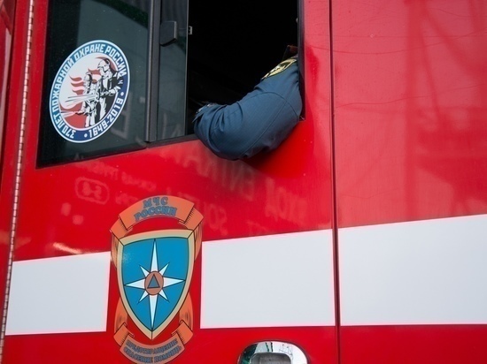Тульские спасатели за сутки потушили два пожара