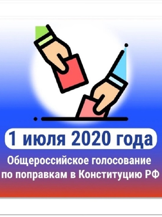 Как будем голосовать по поправкам в Конституцию: Красноперекопский район Ярославля