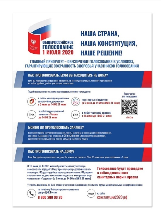 Как будем голосовать по поправкам в Конституцию: Фрунзенский район Ярославля