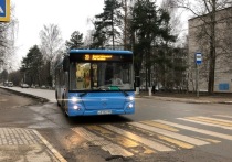 Большинство жителей областного центра наверняка помнят то бесснежное, как и вся зима, утро 3 февраля 2020 года, когда большинство привычных маршруток Твери были одним волевым решением заменены на новые автобусы ЛиАЗ