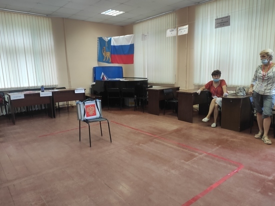 Более 47% жителей Псковской области проголосовали по поправкам