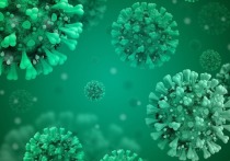 Шведские ученые пришли к выводу, что уровень коллективного иммунитета к коронавирусу может быть вдвое выше, чем предполагалось ранее