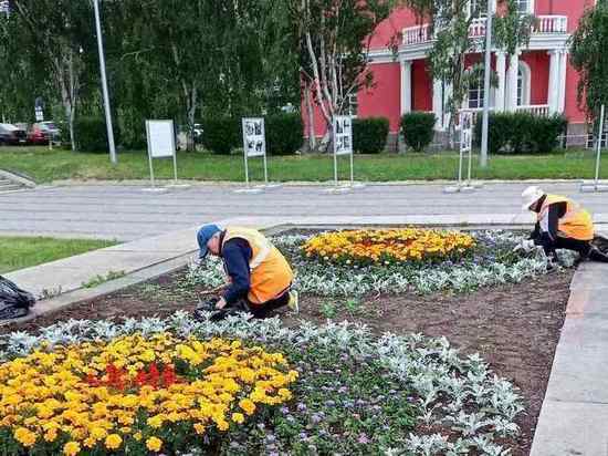  Столица Карелии преображается: появляется еще больше цветов и многолетних растений
