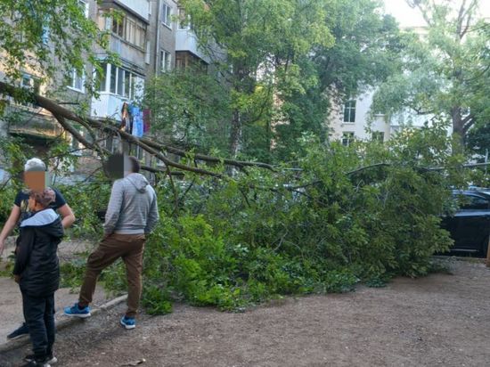В Уфе произошло два случая падения старых деревьев