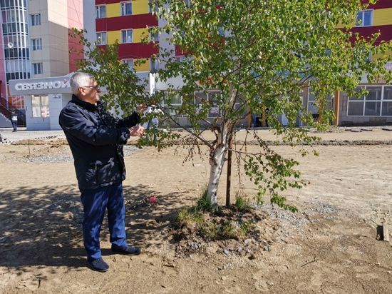 В Салехарде стартовала санитарная обрезка деревьев