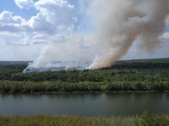 В Ростовской области выгорели 17 гектаров леса