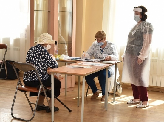 В Рязанской области поправки в Конституцию поддержали 78,81% избирателей