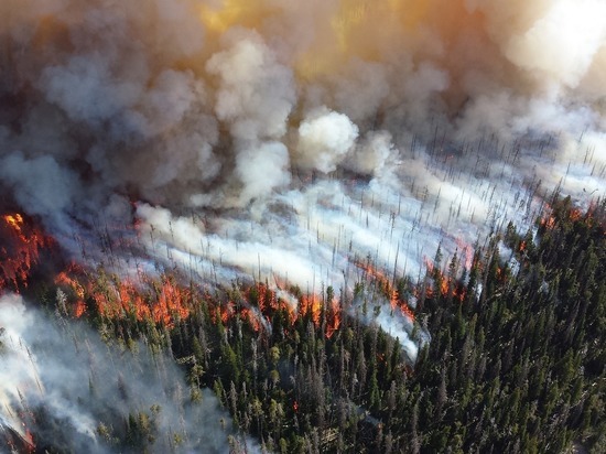 Жители Колымы жалуются на дым от лесных пожаров