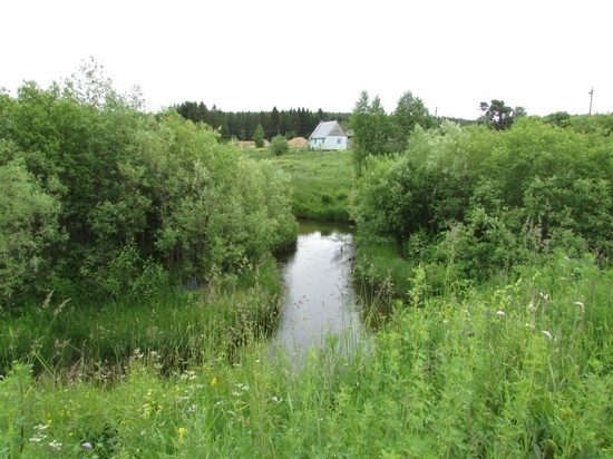 К осени в Соликамском округе в рамках нацпроекта завершится расчистка реки
