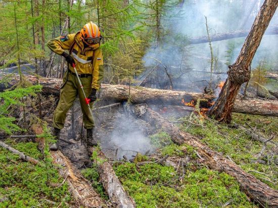 Парашютисты-десантники из Тюменской области отправятся на борьбу с лесными пожарами в Якутию