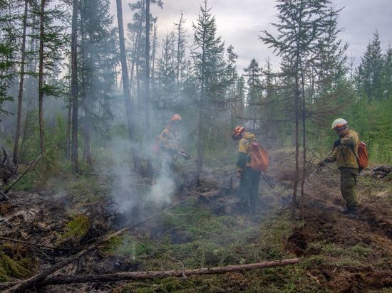 Югорские парашютисты-десантники помогут тушить лесные пожары в Якутии