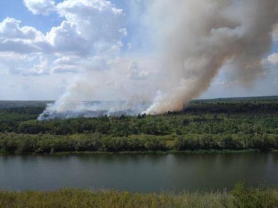 В Белокалитвинском районе ликвидировали масштабный природный пожар