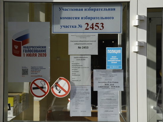 В Нижегородской области проголосовали 73,91% избирателей