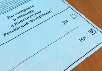 Ненецкий автономный округ стал единственным регионом в России, где большинство жителей проголосовали против поправок в Конституцию