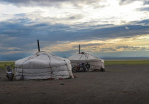 Вспышка бубонной чумы, которая была зафиксирована в западной части Монголии, не представляет угрозы для Российской Федерации