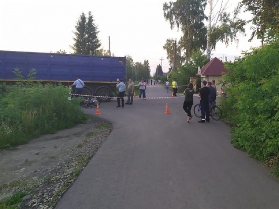 В Тамбовской области мопедист попал под грузовик