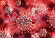 Исследователи Национальной лаборатории в Лос-Аламос пришли к заключению, что коронавирусная инфекция нового типа (SARS-CoV-2) с мутацией Spike D614G, об обнаружении которой стало известно в мае 2020 года, стала доминирующей формой в ходе пандемии