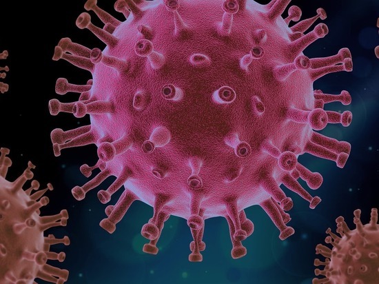 Исследуется новый механизм иммунитета против коронавируса